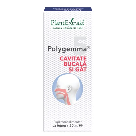 a11773-polygemma-5-cavitate-bucala-si-gat-03.jpg