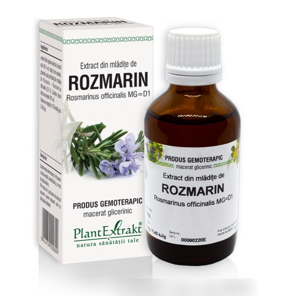 Extract din mlădiţe de Rozmarin - Rosmarinus officinalis, 50 ml