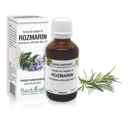 a11857-mladite-rozmarin-02.jpg