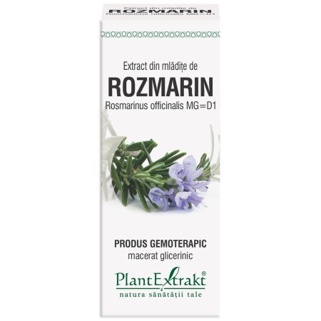 a11857-mladite-rozmarin-03.jpg