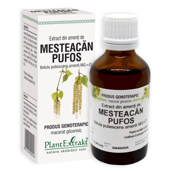 Extract din amenţi de Mesteacăn pufos - Betula pubescens amenti MG=D1, 50 ml