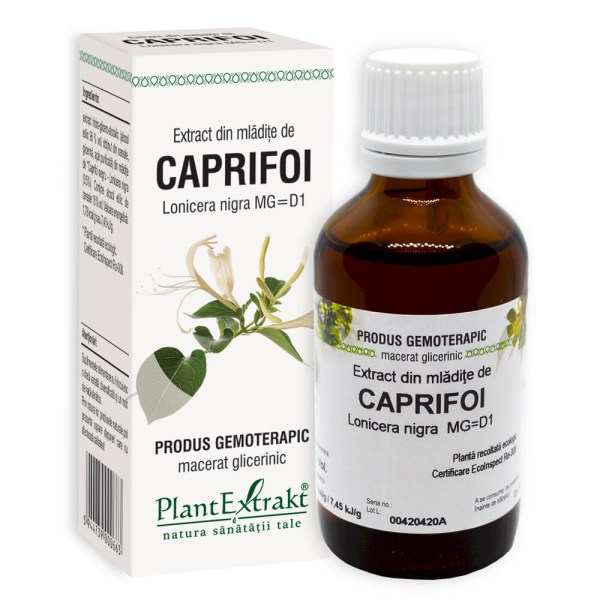 Extract din mlădiţe de Caprifoi negru - Lonicera nigra MG=D1, 50 ml