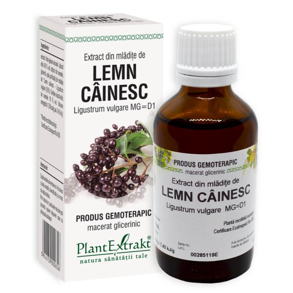 Extract din mlădiţe de Lemn câinesc - Ligustrum vulgare MG=D1, 50 ml