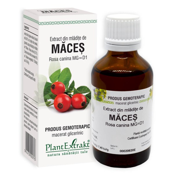 Extract din mlădiţe de Măceș - Rosa canina, 50 ml