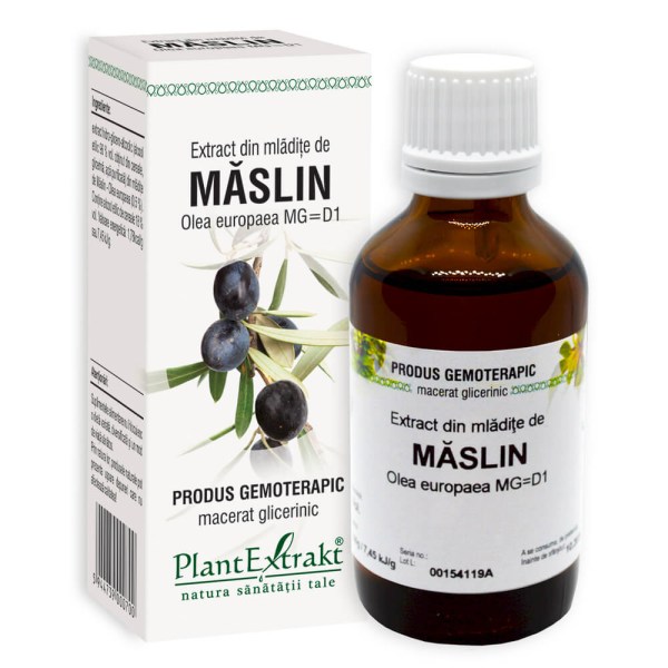Extract din mlădiţe de Măslin - Olea europaea, 50 ml
