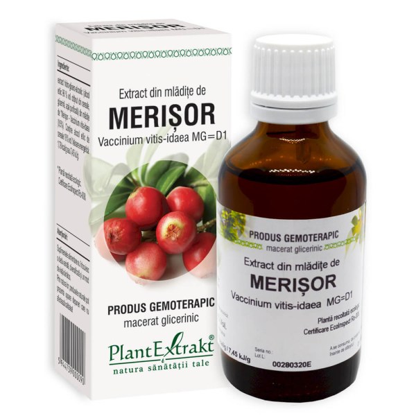Extract din mlădiţe de Merișor - Vaccinium vitis idaea, 50 ml