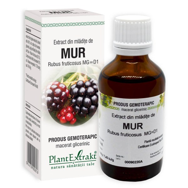 Extract din mlădiţe de Mur - Rubus fructicosus MG=D1, 50 ml