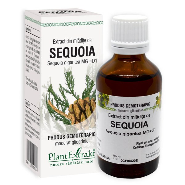Extract din mlădiţe de Sequoia - Sequoia gigantea MG=D1, 50 ml