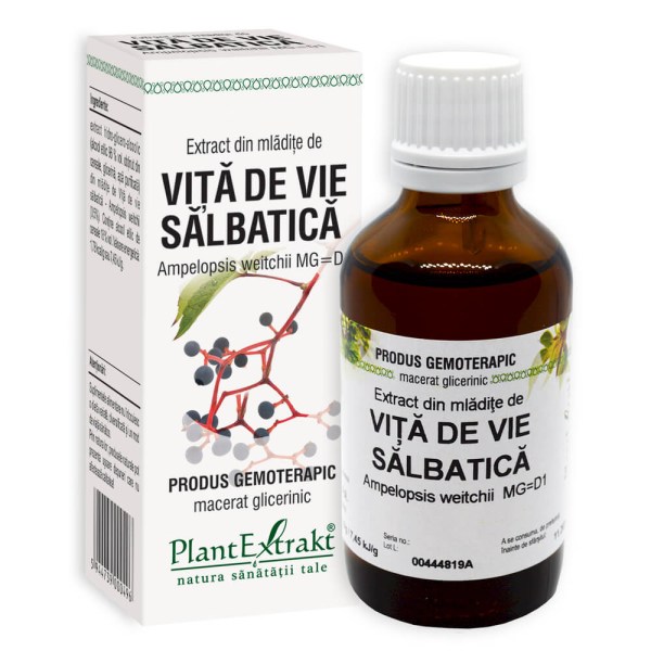 Extract din mlădiţe de Viță de vie sălbatică - Ampelopsis weitchii MG=D1, 50 ml