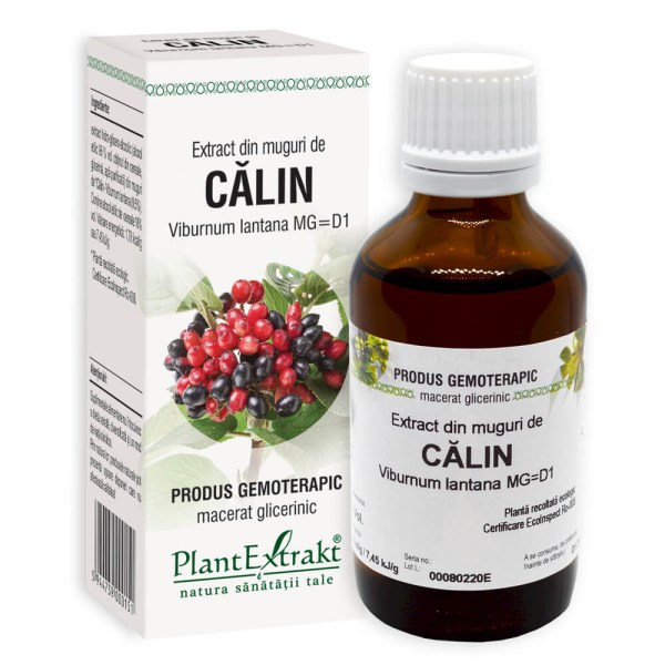 Extract din muguri de Călin - Viburnum lantana MG=D1, 50 ml