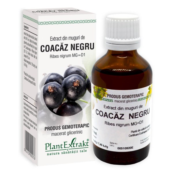 Extract din muguri de Coacăz negru - Ribes nigrum, 50 ml
