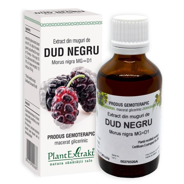 Extract din muguri de Dud negru - Morus nigra MG=D1, 50 ml