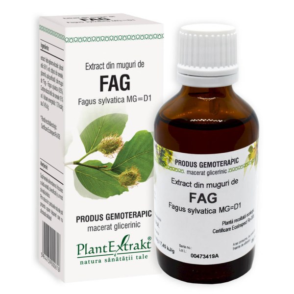Extract din muguri de Fag - Fagus sylvatica MG=D1, 50 ml