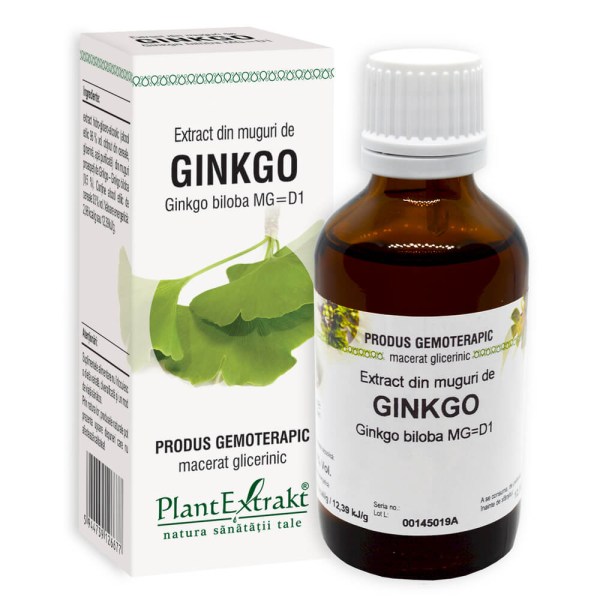 Extract din muguri de Ginkgo - Ginkgo biloba MG=D1, 50 ml