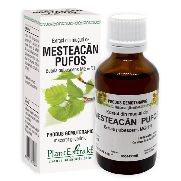 Extract din muguri de Mesteacăn pufos - Betula pubescens, 50 ml