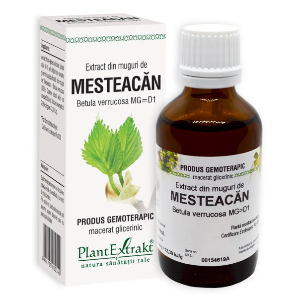 Extract din muguri de Mesteacăn - Betula verrucosa MG=D1, 50 ml