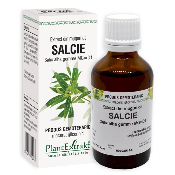 Extract din muguri de Salcie - Salix alba gemme MG=D1, 50 ml