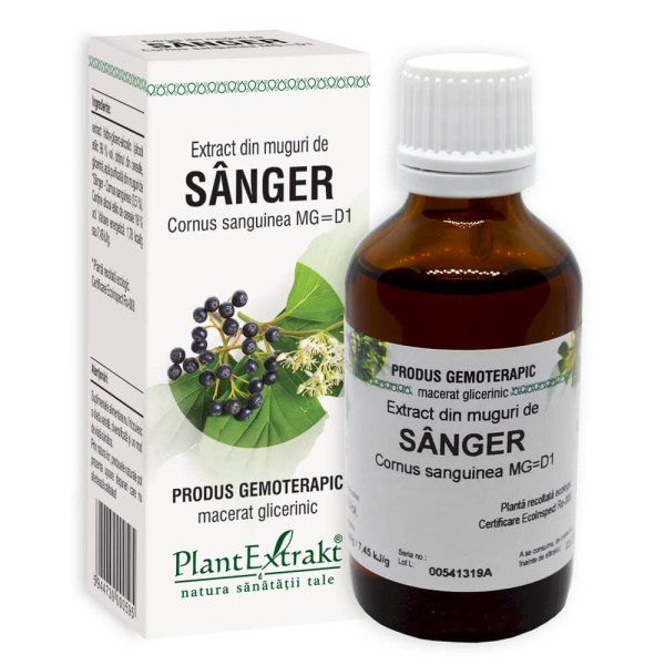 Extract din muguri de Sânger - Cornus sanguinea MG=D1, 50 ml