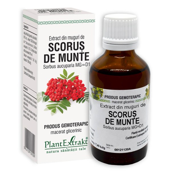 Extract din muguri de Scoruș de munte - Sorbus aucuparia MG=D1, 50 ml
