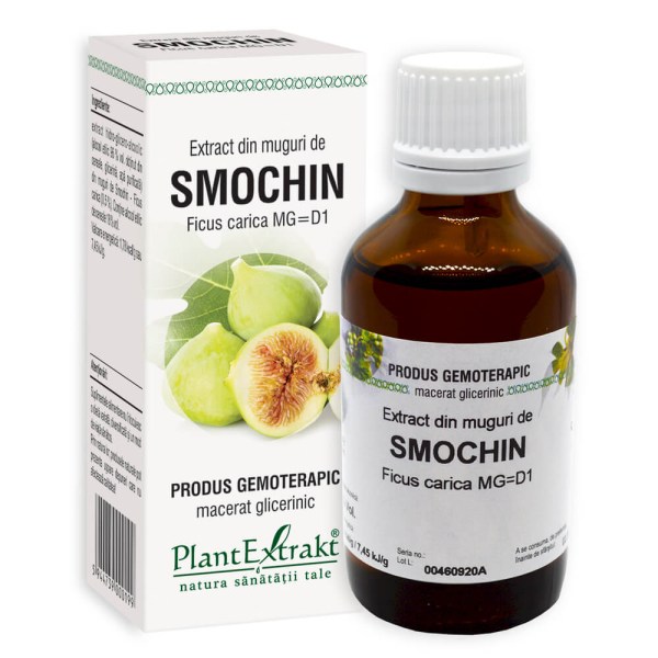 Extract din muguri de Smochin - Ficus carica, 50 ml