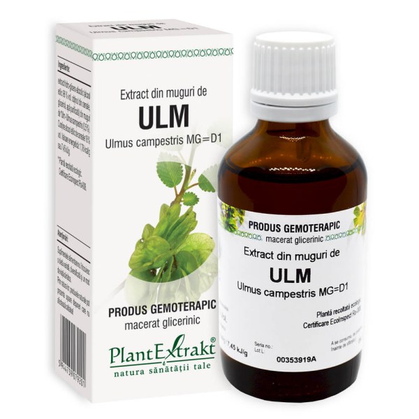 Extract din muguri de Ulm - Ulmus campestris MG=D1, 50 ml