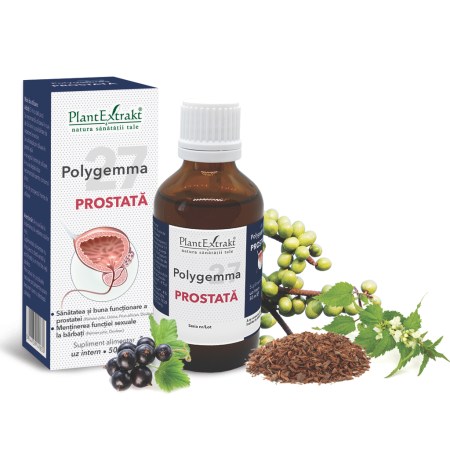 p-1964-polygemma-27-prostata-02.jpg