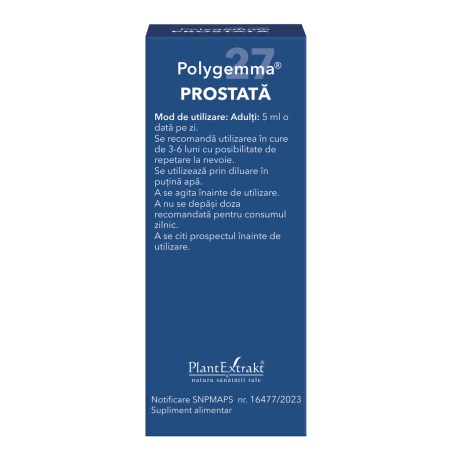 p-1964-polygemma-27-prostata-05.jpg