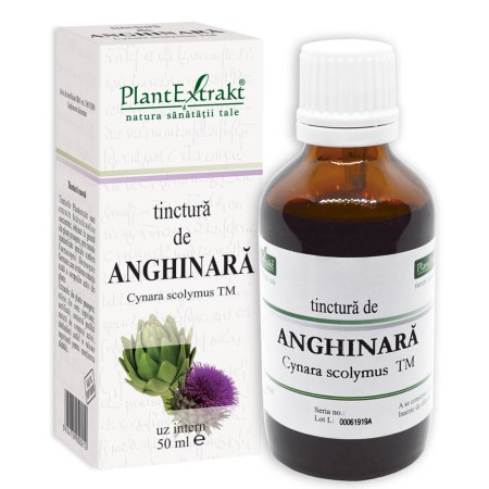 tinctura-anghinara.jpg