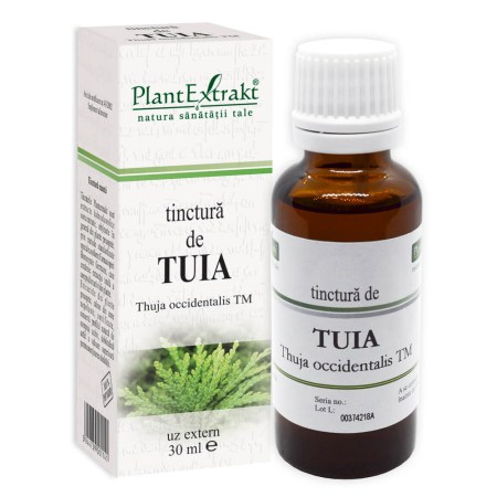 tinctura-tuia.jpg